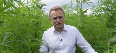 употребляйте коноплю