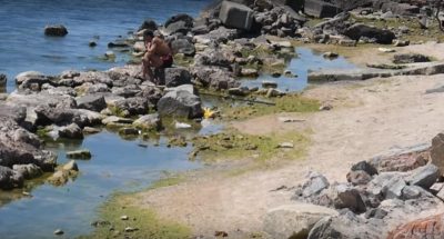 Туристы разнесли отдых на зеленом Азовском море / скриншот