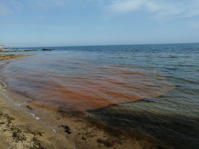 Крым утопает в фекалиях