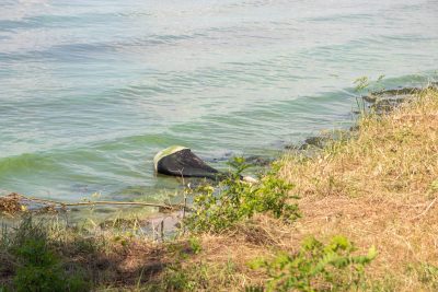 Девочка нашла труп на берегу Днепра в Киеве - видео