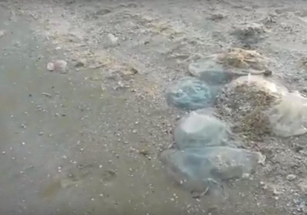 Полная оккупация Азовского моря: туристы показали на видео, почему не стоит ехать в Кирилловку