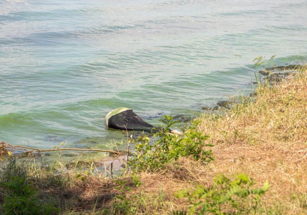 Девочка нашла труп на берегу Днепра в Киеве - видео
