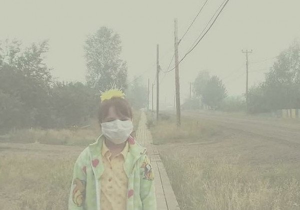 "Как тараканов травят, тошнит, ад": в России пылает тайга, власть гордо молчит, народ плачет - видео