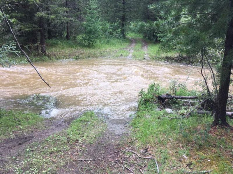 Гибель двух семей в России: в МВД раскрыли подробности жуткого ДТП