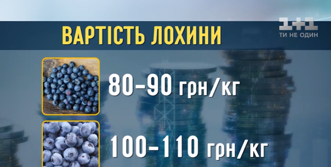 / Скриншот / Скриншот
