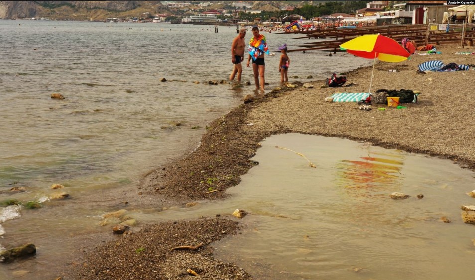 Судак в фекалиях