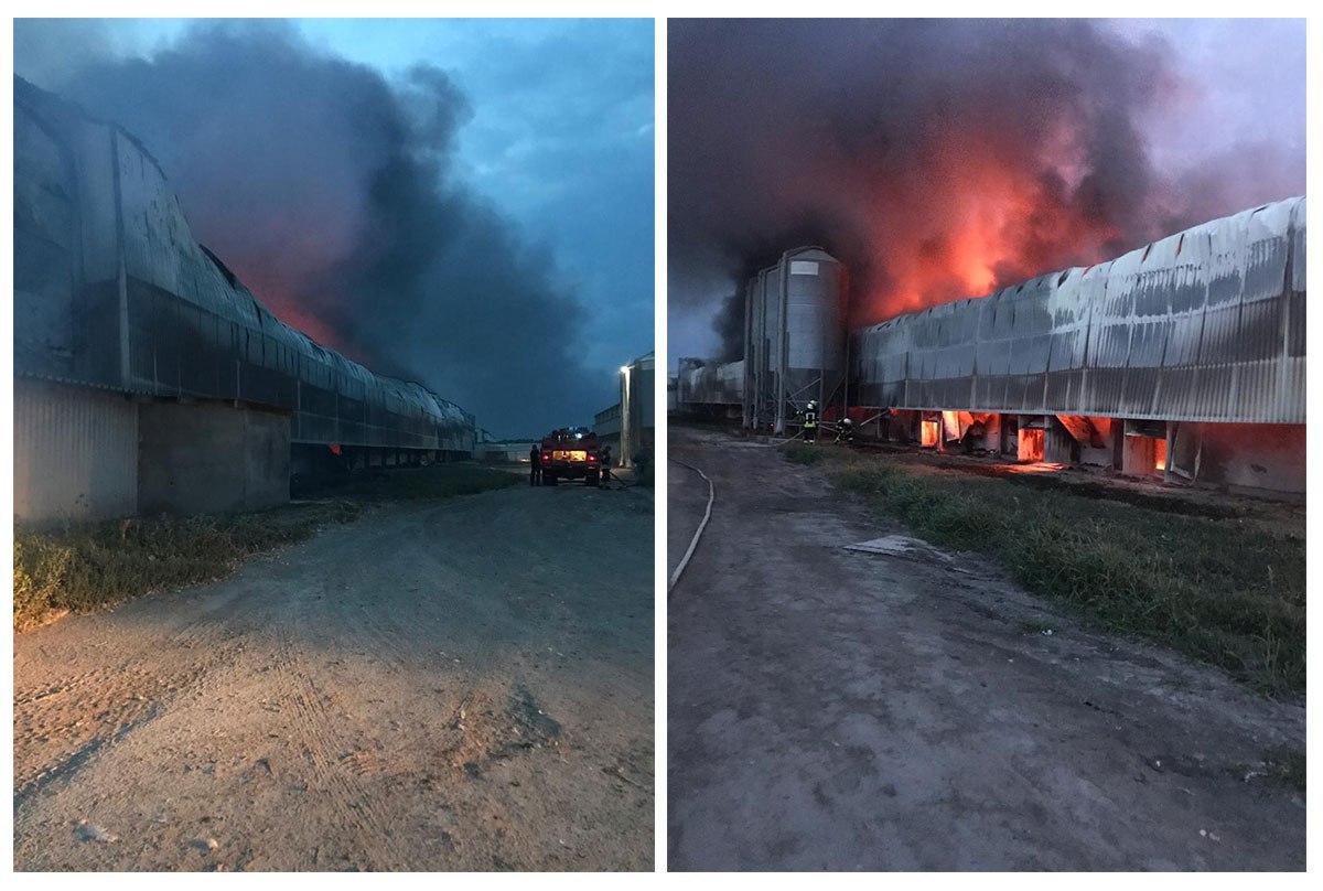 Пожар птицефабрика