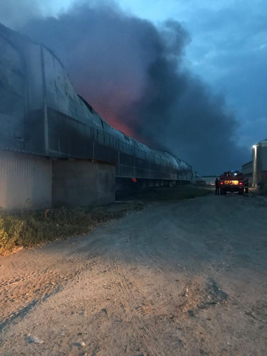 Пожар птицефабрика