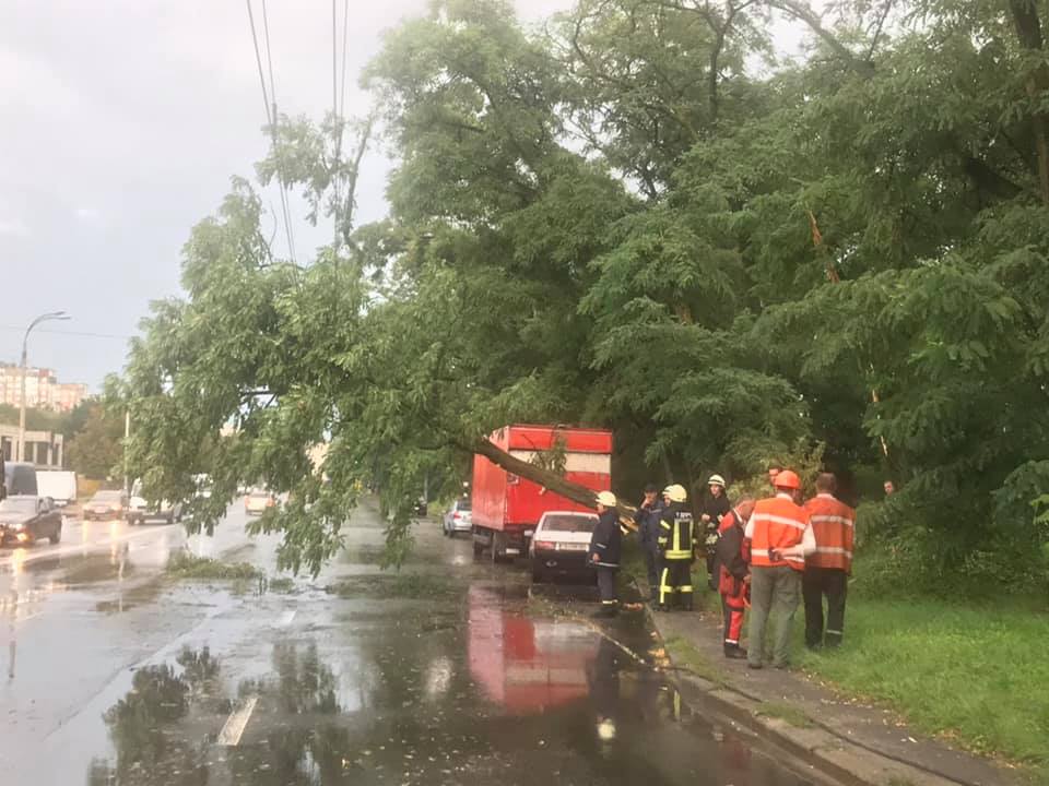 В столице повалило деревья