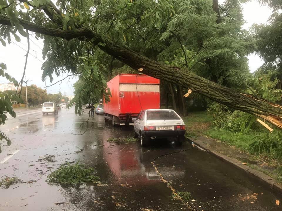 Много деревьев повалило на Троещине