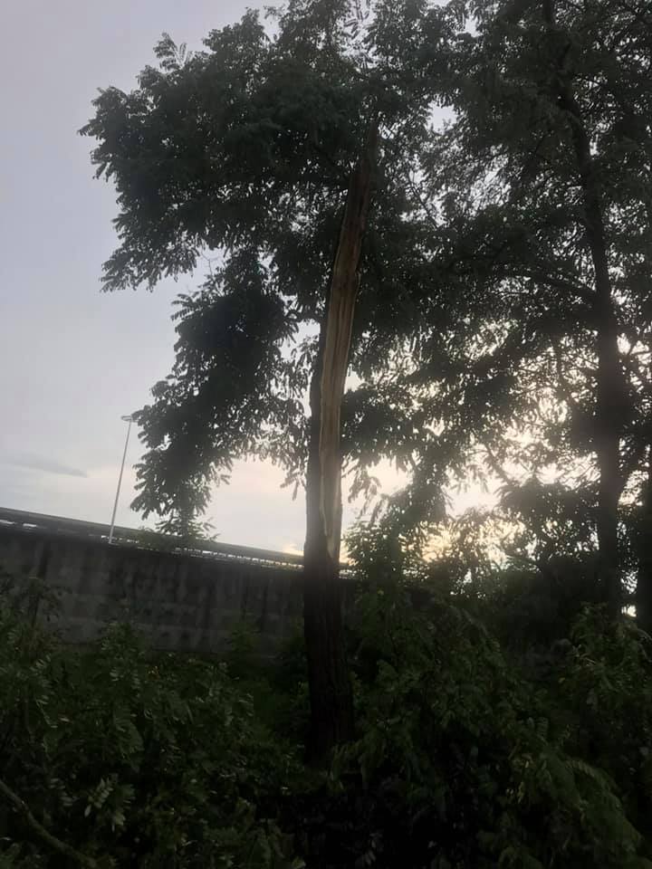 Сильный ветер пронесся по нескольким районам Киева 