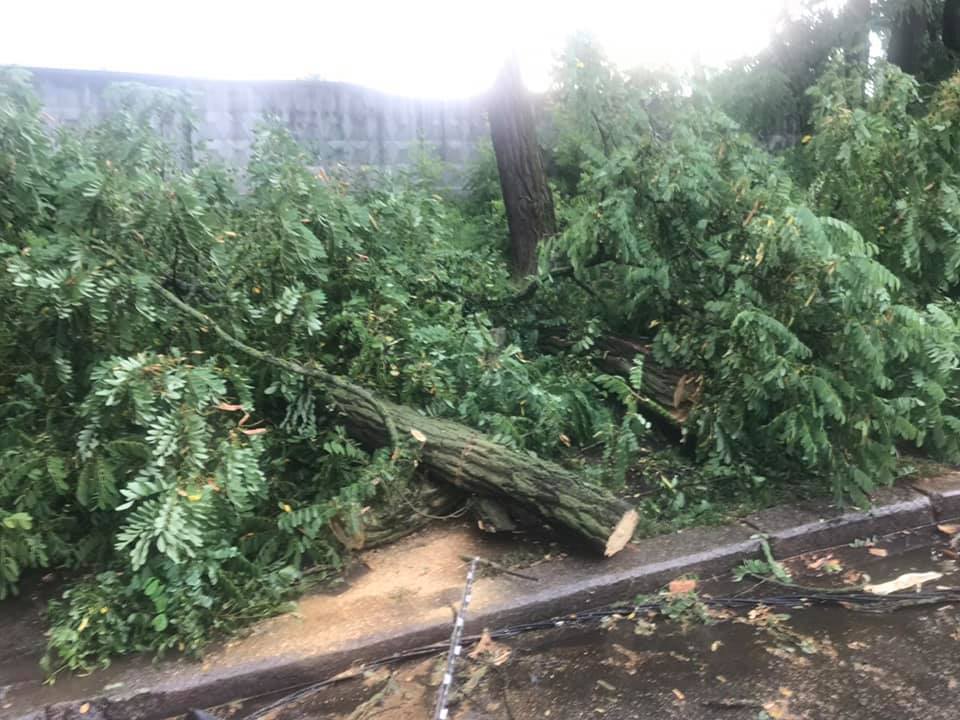 Спасатели ликвидируют последствия непогоды