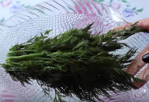 Оладьи из кабачков без яиц с морковью получаются немного сладковатыми