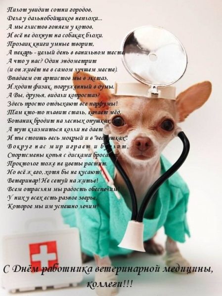 День ветеринара – открытки