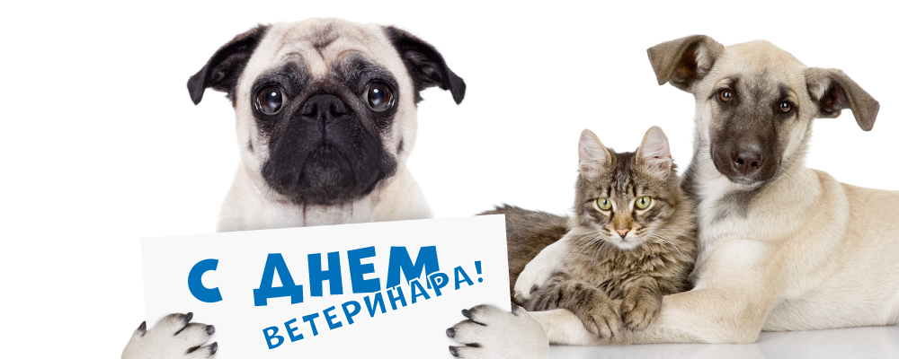 Поздравительные открытки с днем ветеринара