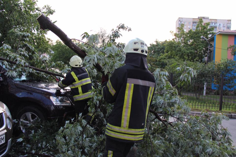 Погодный Апокалипсис: в Киеве ураган выкорчевал деревья и рекламные щиты