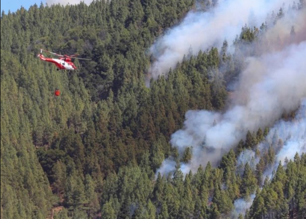 Горит лес на Канарах Горит лес на Канарах
