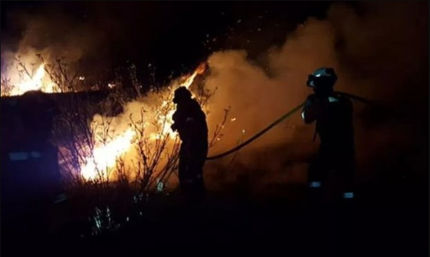 Горит лес на Канарах Горит лес на Канарах