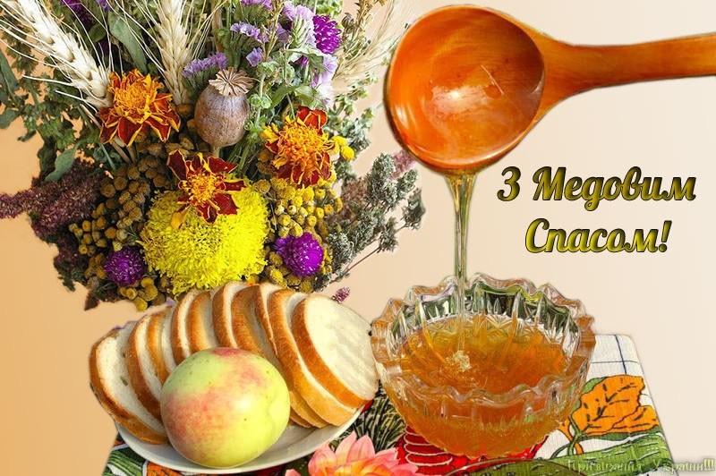 анимашки с медовым спасом