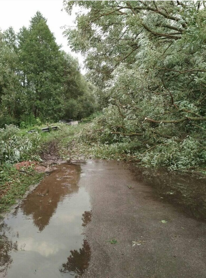 Буря бушевала 13 августа 