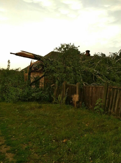 Ураган на Черниговщине