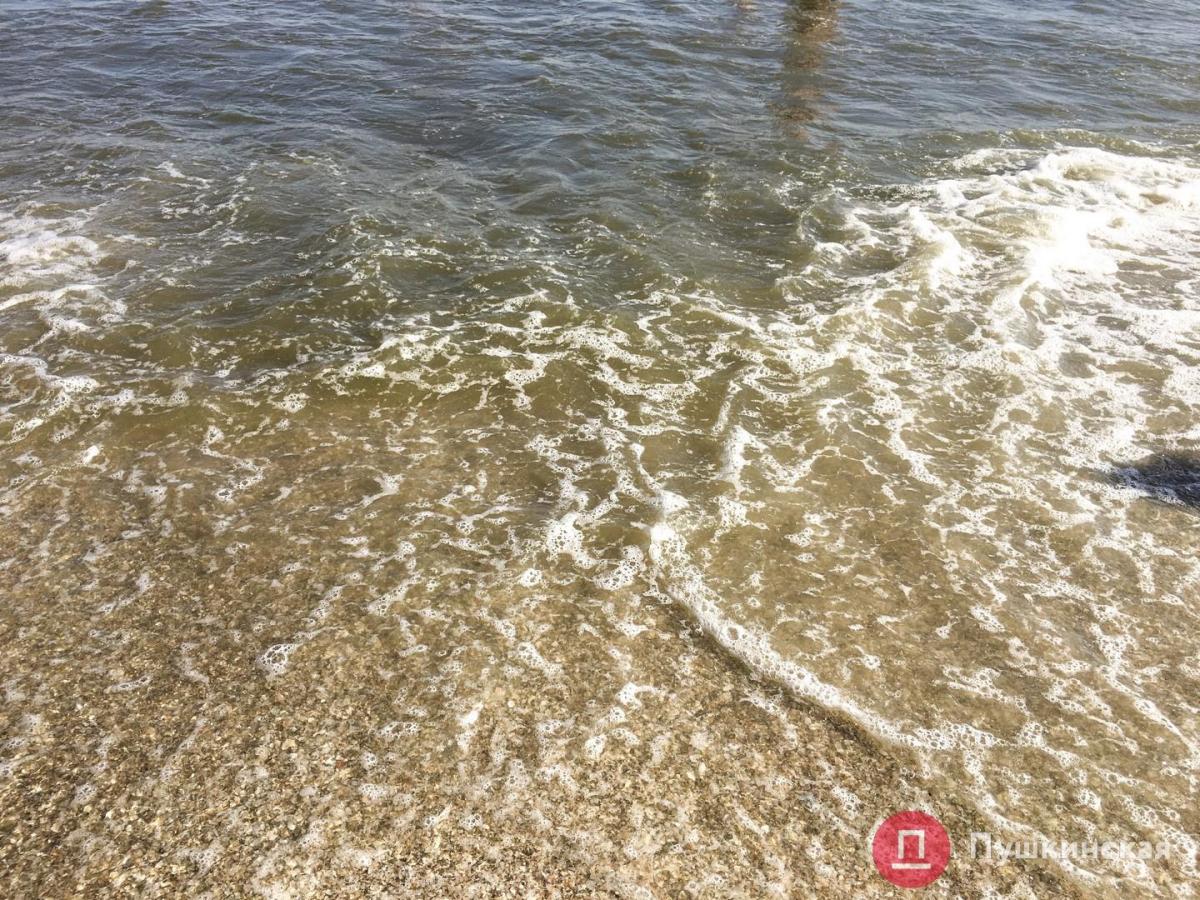 В Одессе море стало черным