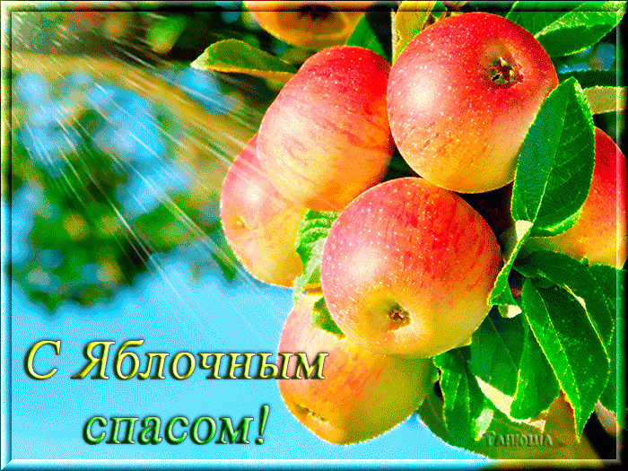 С Яблочным спасом – картинки и открытки