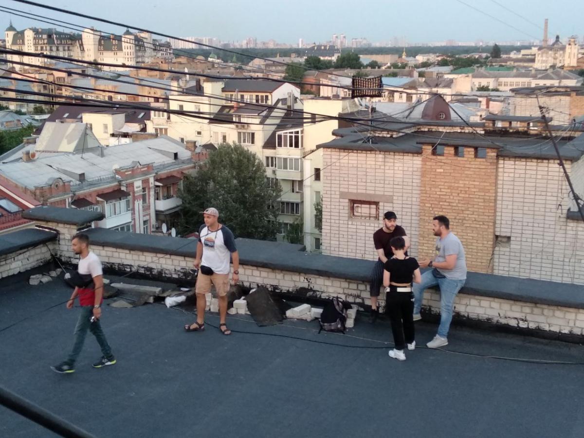 Первые ласточки Первые ласточки