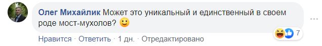 "Надо вызывать зоо-патруль": в Сети позубоскалили по поводу мух на мосту Кличко
