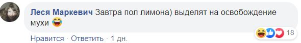 "Надо вызывать зоо-патруль": в Сети позубоскалили по поводу мух на мосту Кличко