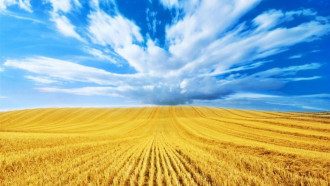 День Незалежності України 2021