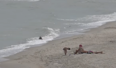 Новости Одесчины - В Одесской области ребенок погиб после удара током