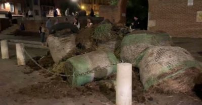 Фермеры привезли навоз под окна партии Макрона Фермеры привезли навоз под окна партии Макрона