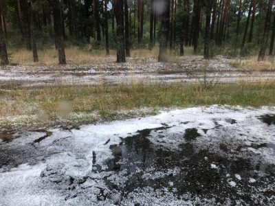 Под Киевом внезапно выпал снег: фото