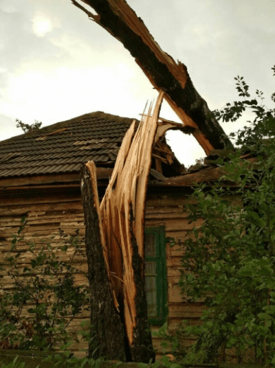 На Черниговщине молнии подожгли 5 зданий, а ветер сорвал полсотни крыш