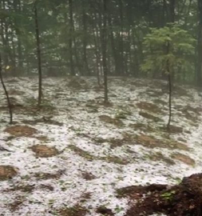 На Закарпатье выпал первый снег - потрясающие кадры