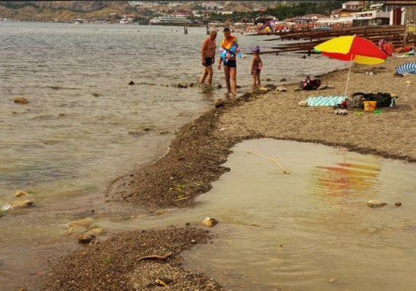 "Говно с глазурью": в Сети показали, как "руснявые ублюдки" убивают Крым -  фото