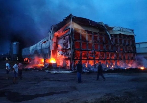 Под Киевом сгорела птицефабрика – фото, видео