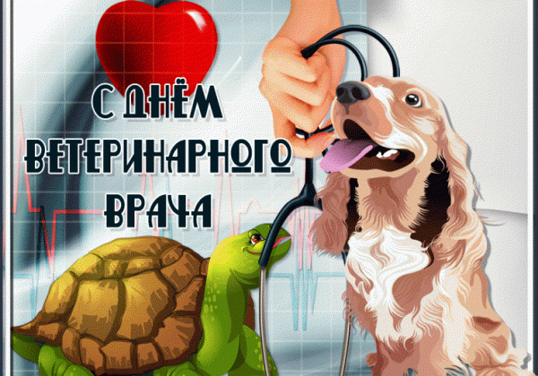 З Днем ветеринара 2020 – веселі листівки і поздоровлення