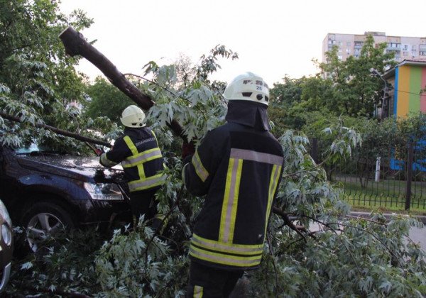 Погодный Апокалипсис: в Киеве ураган выкорчевал деревья и рекламные щиты