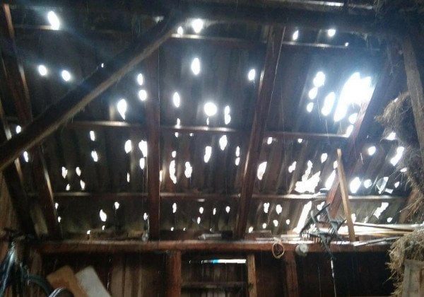 "Разбитые окна, дырявые крыши": на Буковине выпал крупный град, опубликованы фото