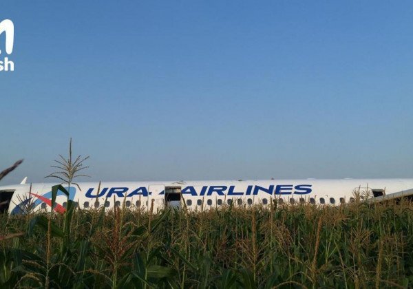 233 человека на борту: в Подмосковье ЧП с самолетом Уральских авиалиний – всё, что известно