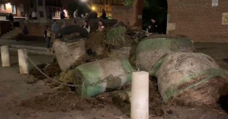 Кизяк под окна: фермеры своеобразно "наказали" Макрона - видео