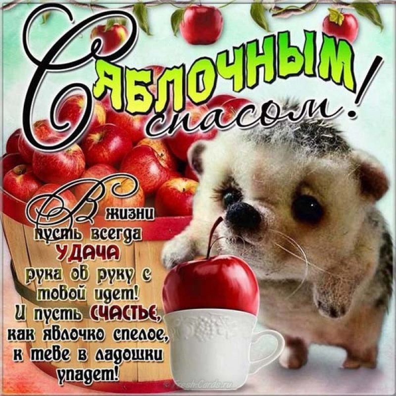 С Яблочным спасом – картинки и открытки