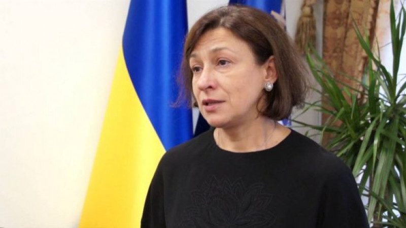 Рябошапка уволил своего зама Стрижевскую: чем она известна