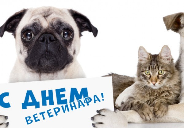День ветеринара – картинки, открытки и поздравления своими словами День ветеринара – картинки, открытки и поздравления своими словами