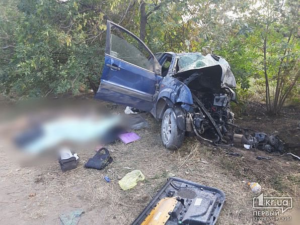 ДТП в Кривом Роге