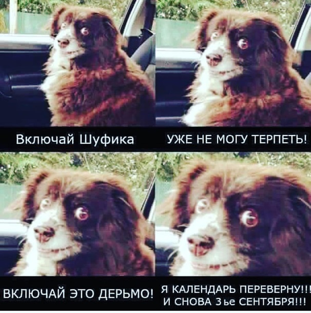 Мемы про 3 сентября и Шуфутинского