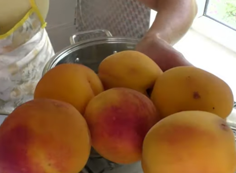 Персики на зиму в сиропе быстро готовятся