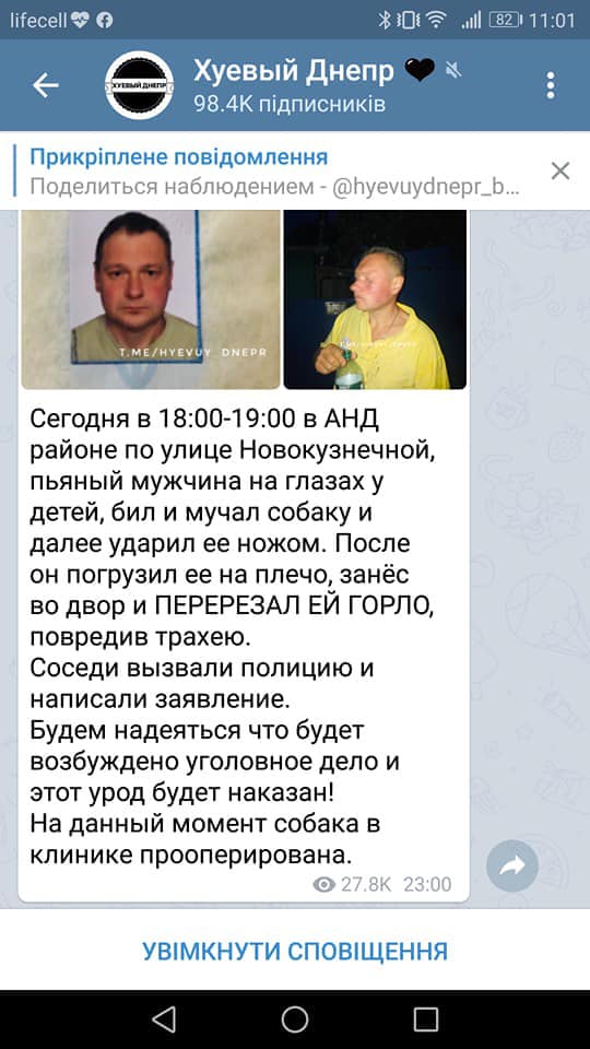 В Днепре жестко наказали живодера